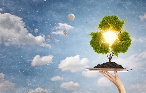 Picture for category Environment Letterheads