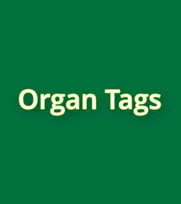 Picture for category Organ Tags