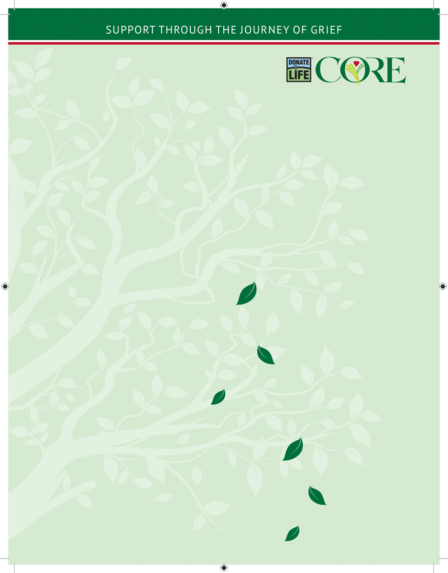 Show details for Journey of Grief Brochure