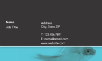 Show details for Pet Services Business Card 6