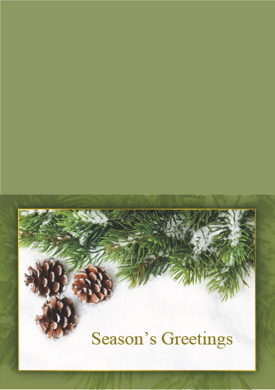 Show details for Holiday Card Pine Cones