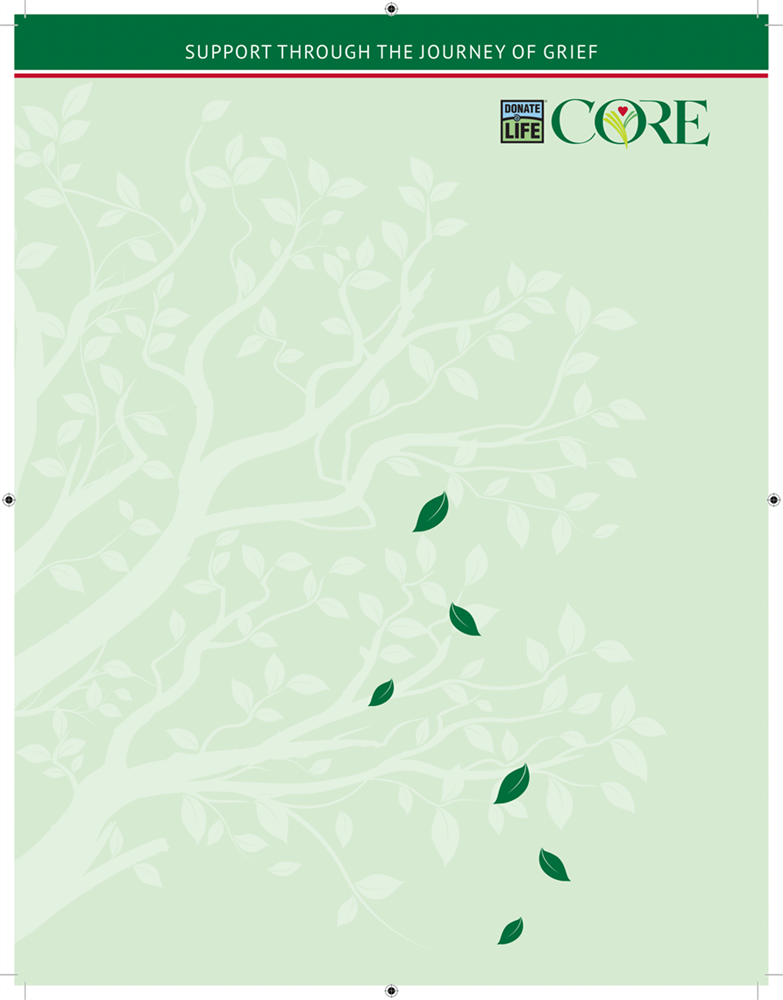 Show details for Journey of Grief Brochure